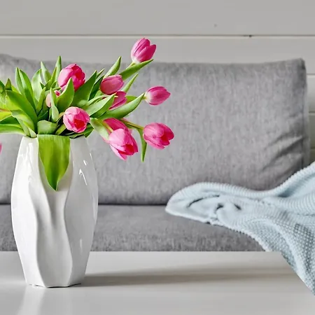 度假居 Soul Camp Nowecin 莱鲍